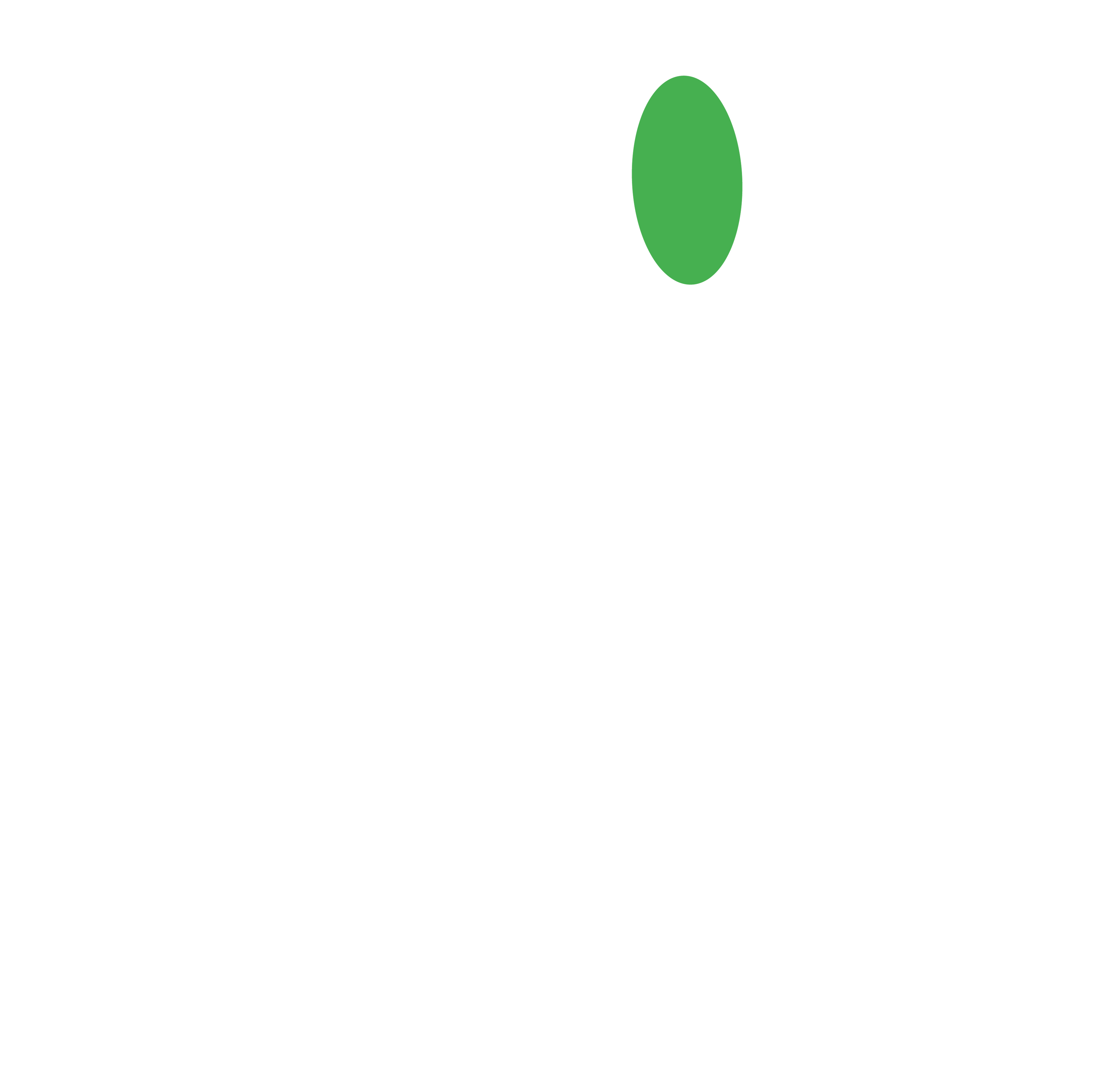 clear path analysis
